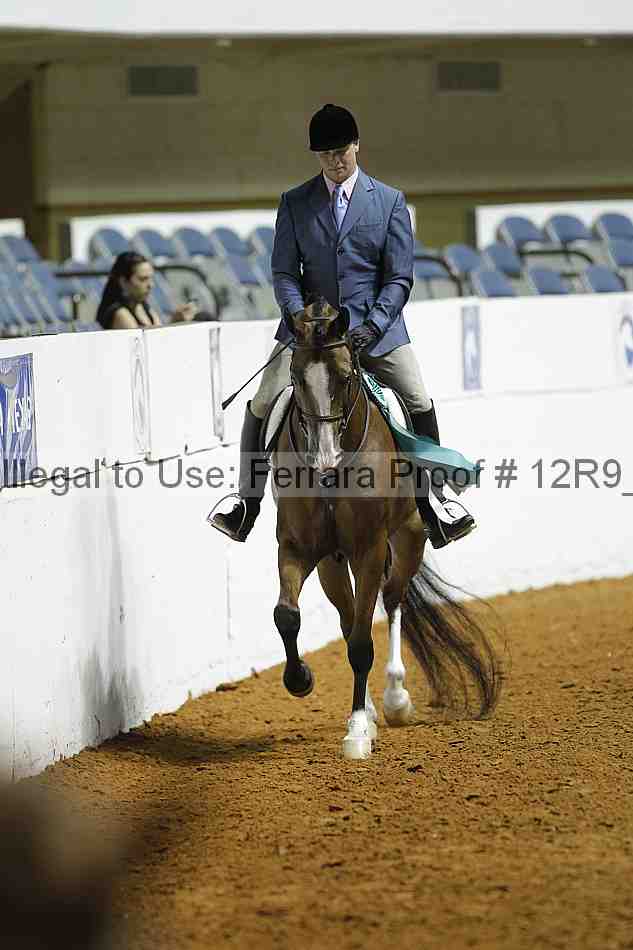 Proof 12r9_0896