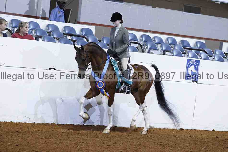 Proof 12r9_0897