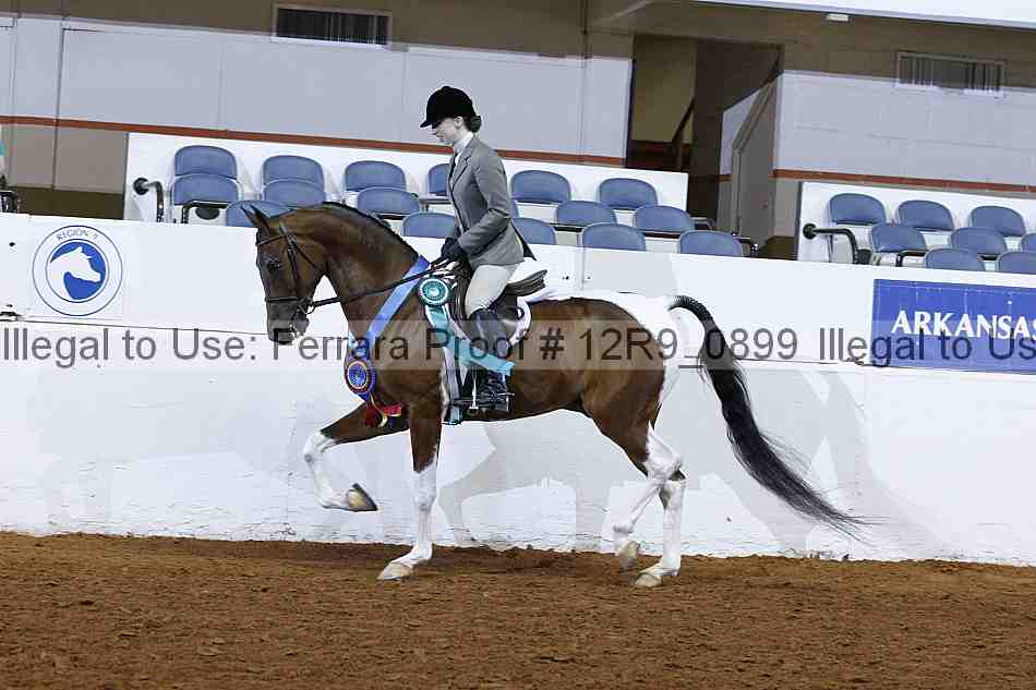 Proof 12r9_0899