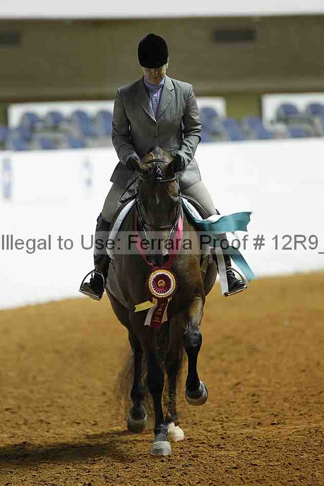 Proof 12r9_0904