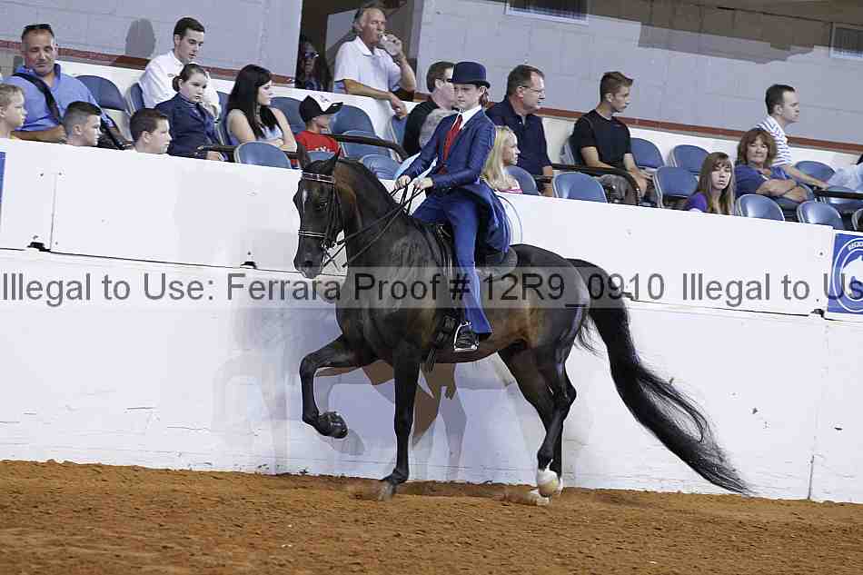 Proof 12r9_0910