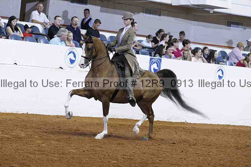 Proof 12r9_0913