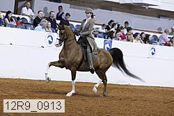 12r9_0913 proof