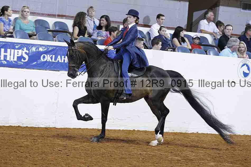 Proof 12r9_0915