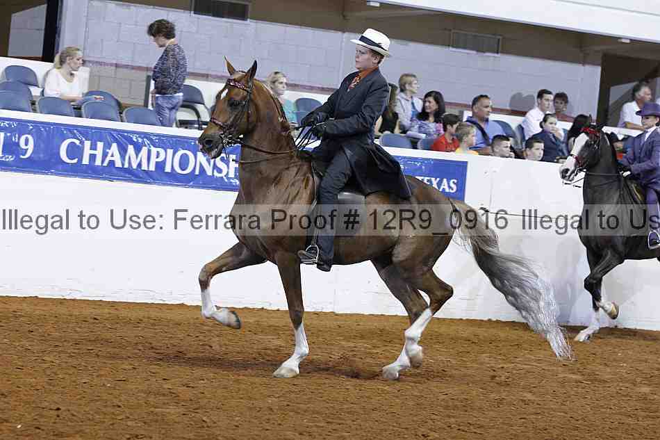 Proof 12r9_0916