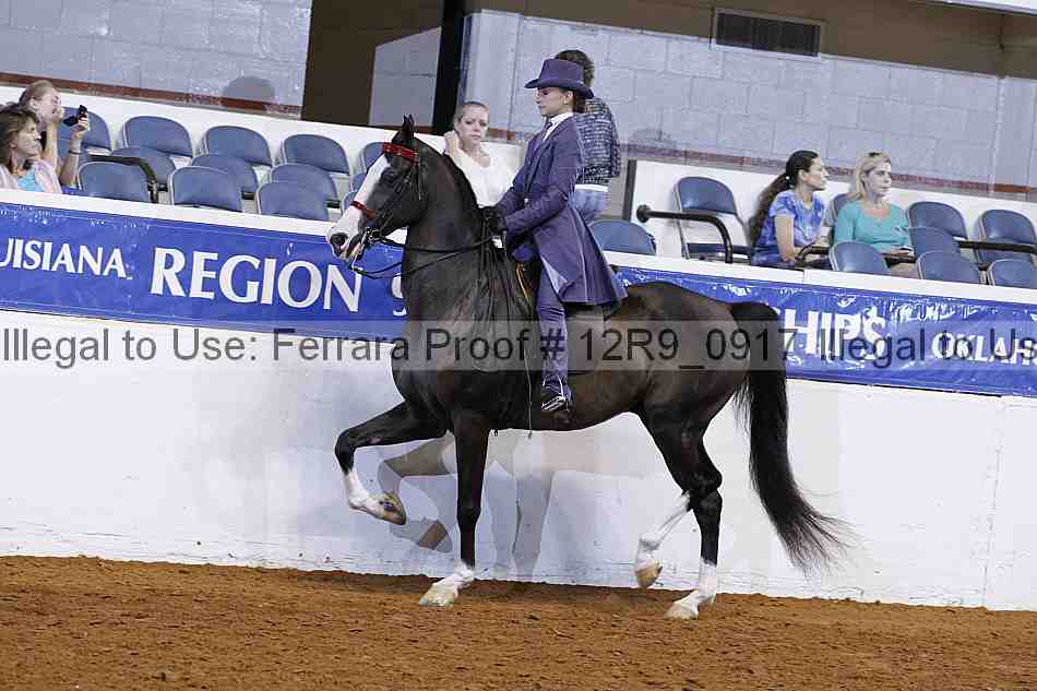 Proof 12r9_0917