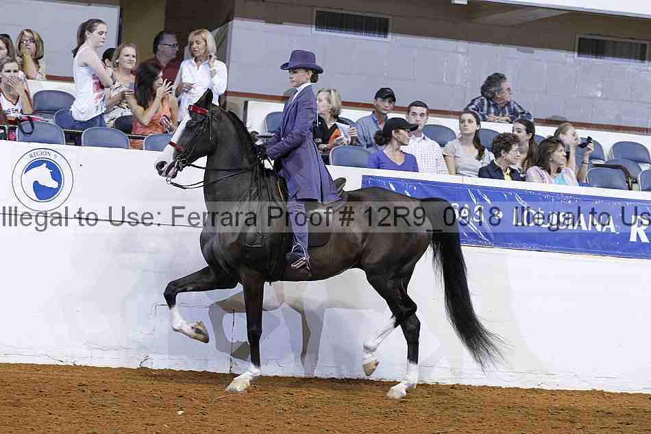 Proof 12r9_0918