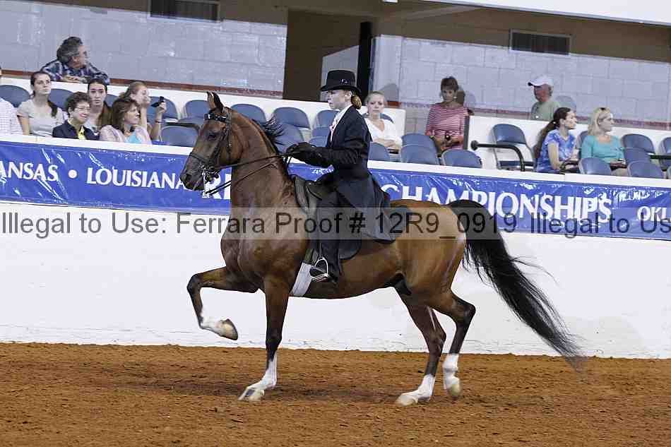 Proof 12r9_0919