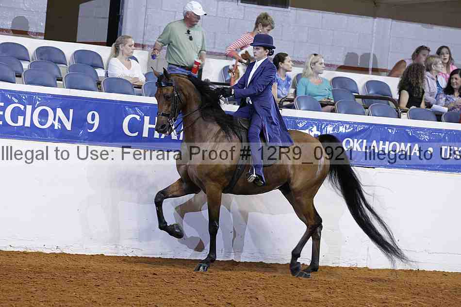 Proof 12r9_0921