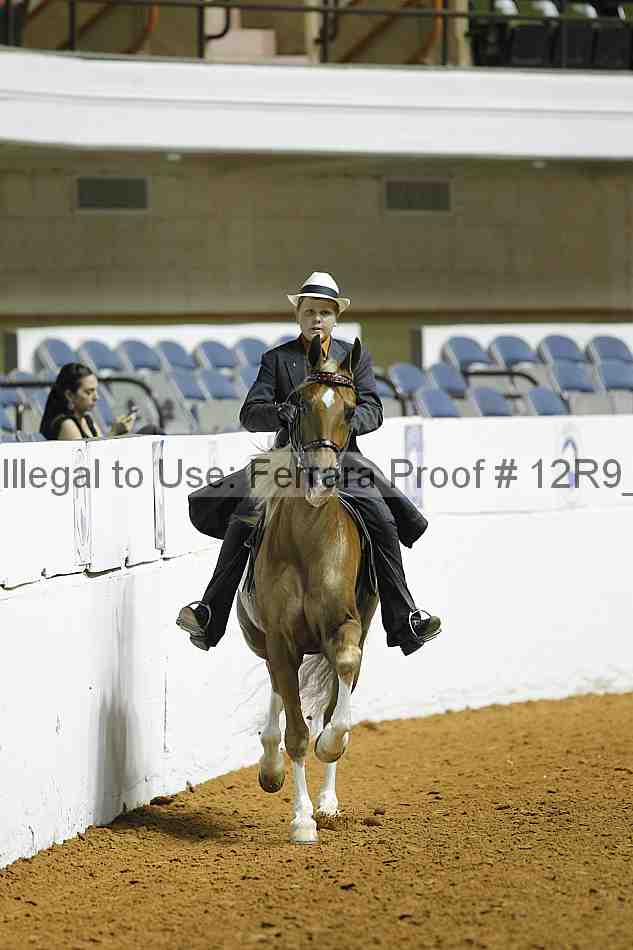 Proof 12r9_0922