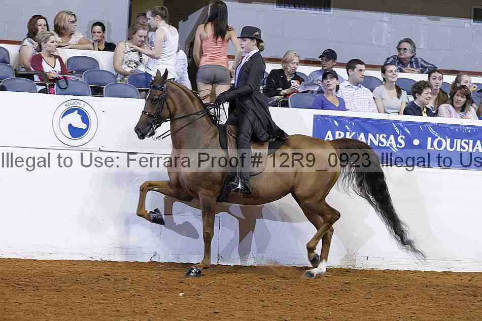 Proof 12r9_0923