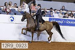 12r9_0923 proof