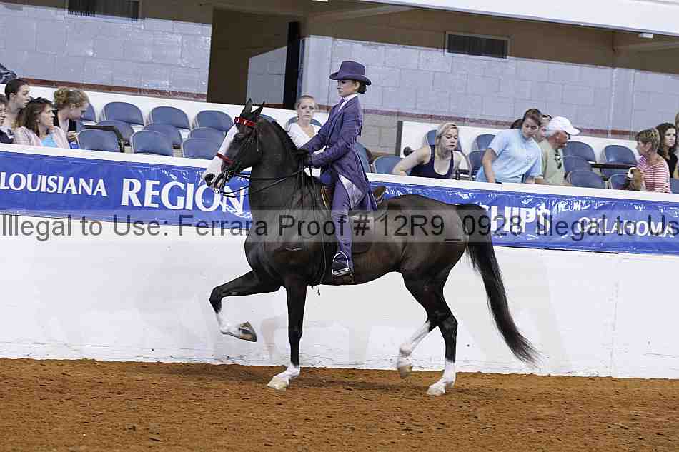 Proof 12r9_0928