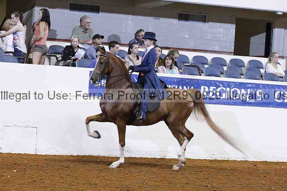 Proof 12r9_0929