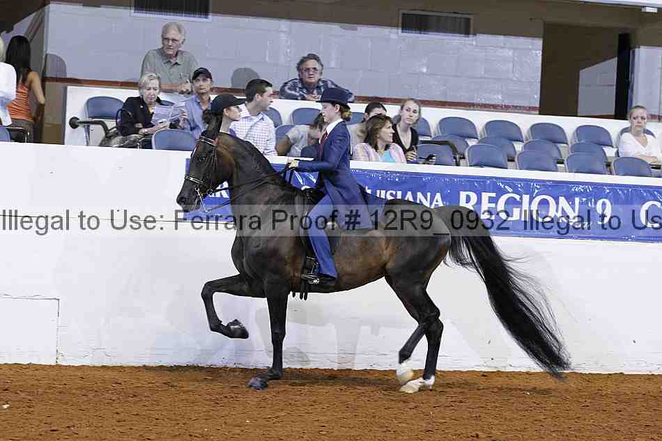 Proof 12r9_0932