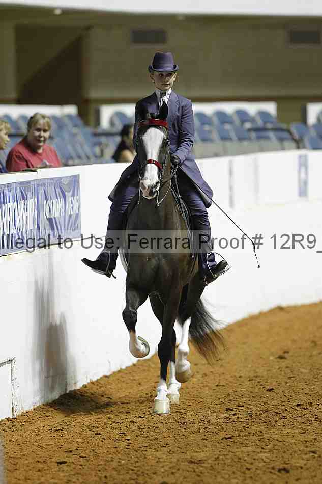 Proof 12r9_0933