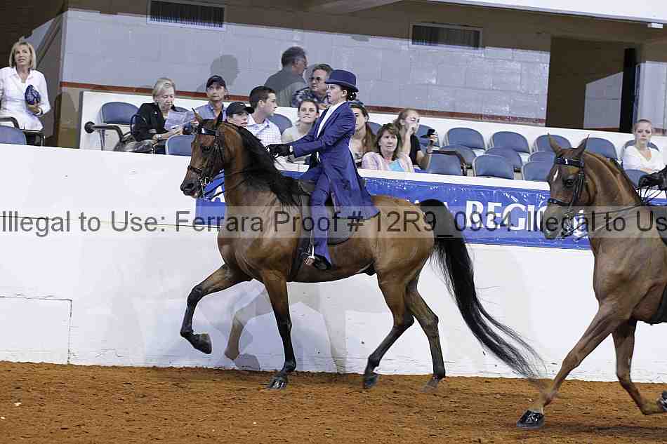 Proof 12r9_0934