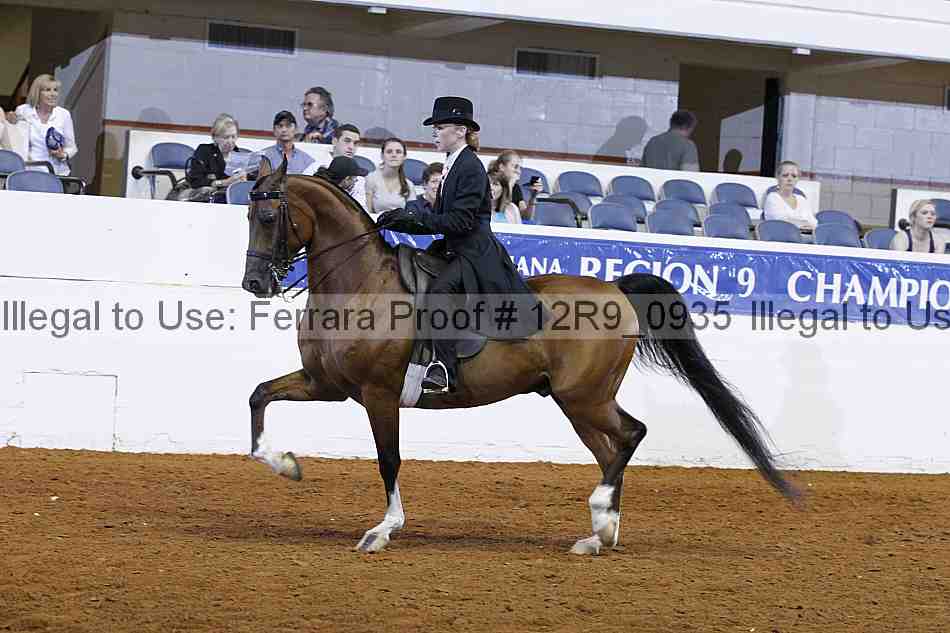 Proof 12r9_0935