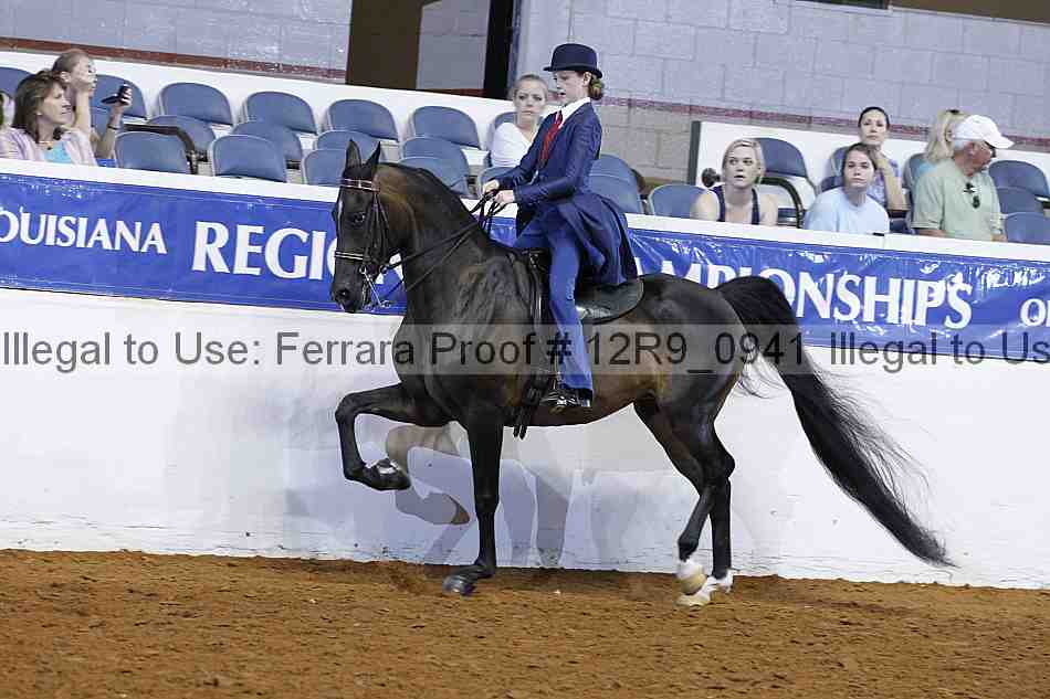 Proof 12r9_0941