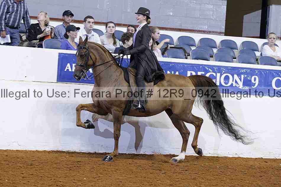 Proof 12r9_0942