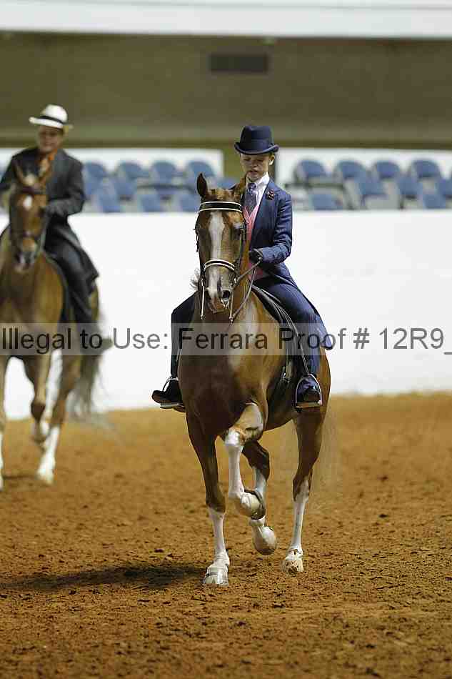 Proof 12r9_0944