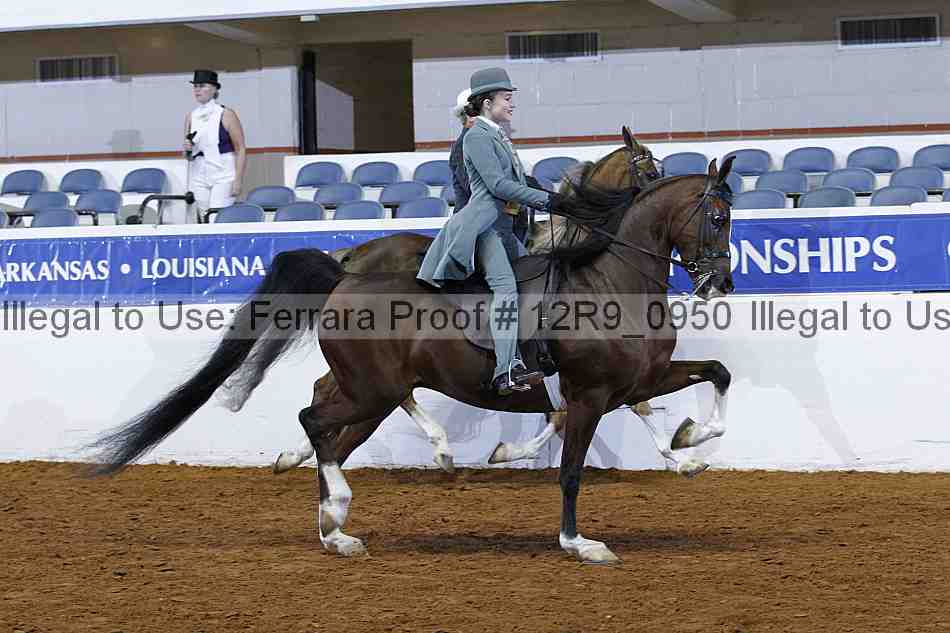 Proof 12r9_0950
