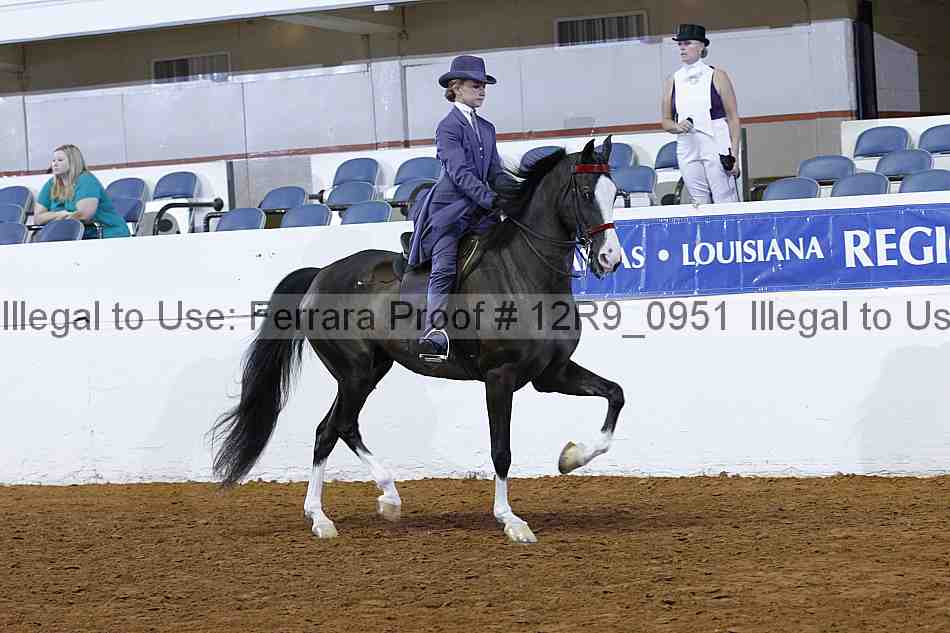 Proof 12r9_0951