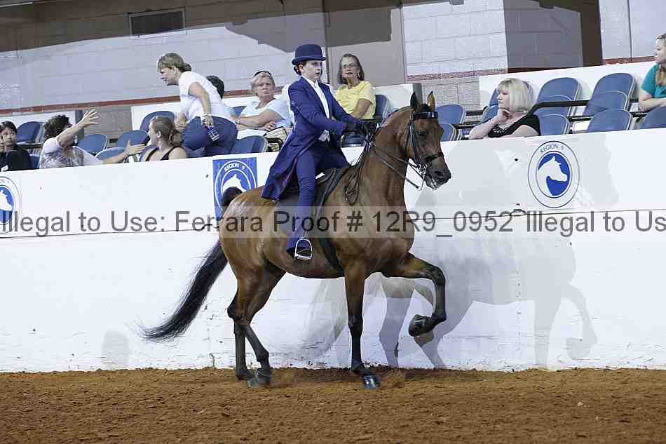 Proof 12r9_0952