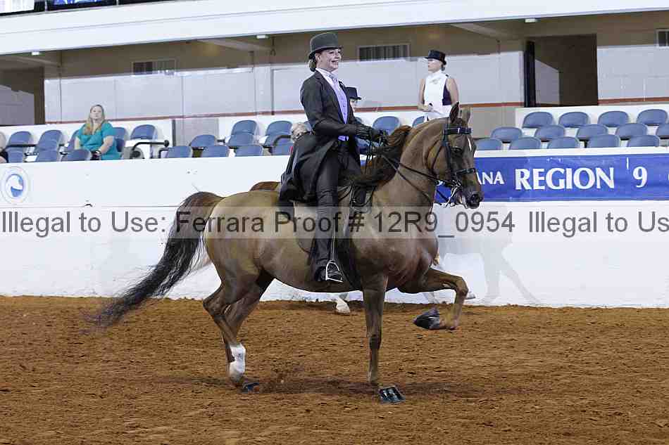 Proof 12r9_0954