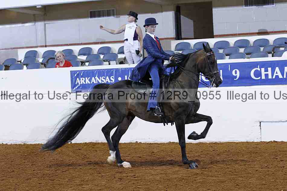 Proof 12r9_0955