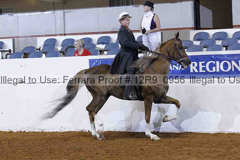 Proof 12r9_0956