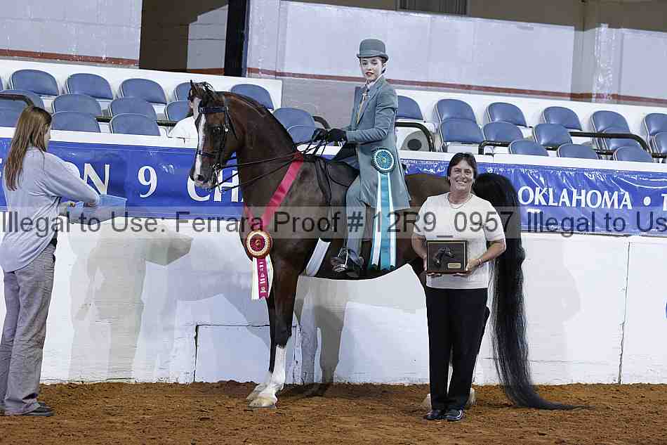 Proof 12r9_0957