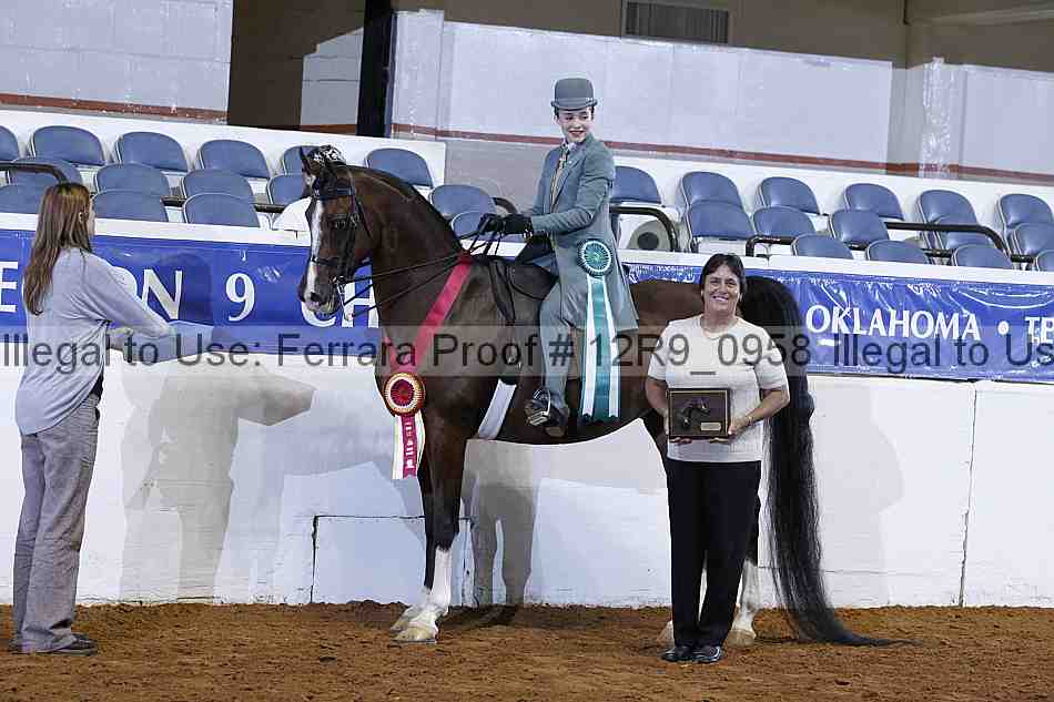 Proof 12r9_0958