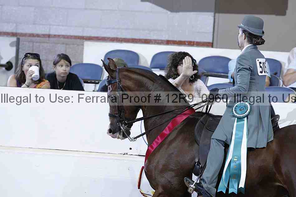 Proof 12r9_0960
