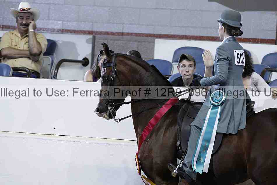 Proof 12r9_0961