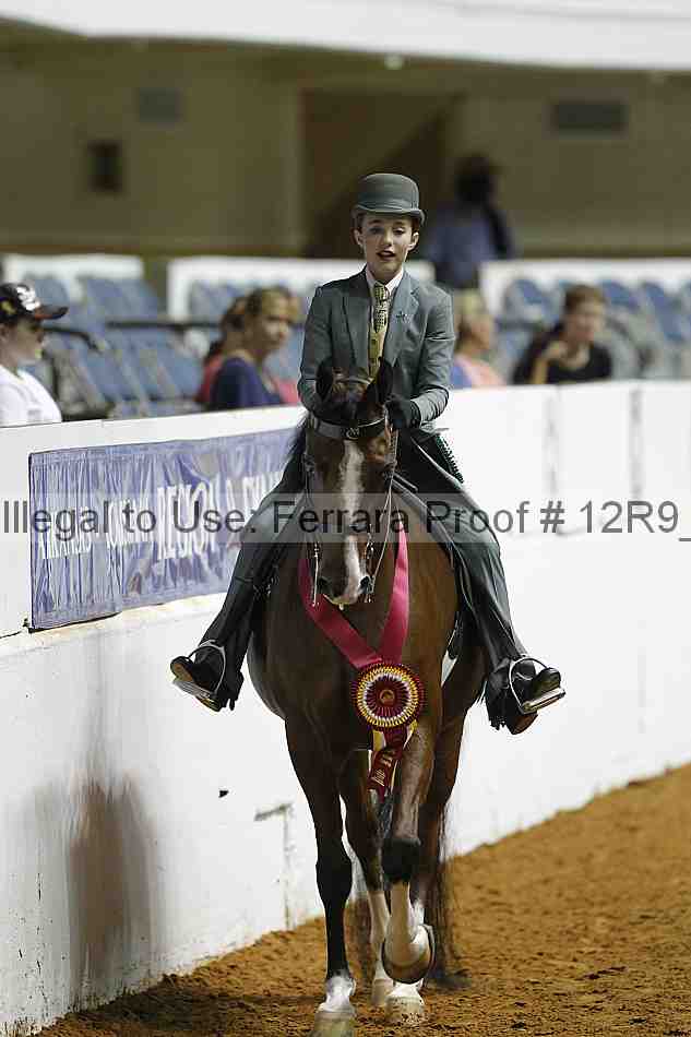 Proof 12r9_0962