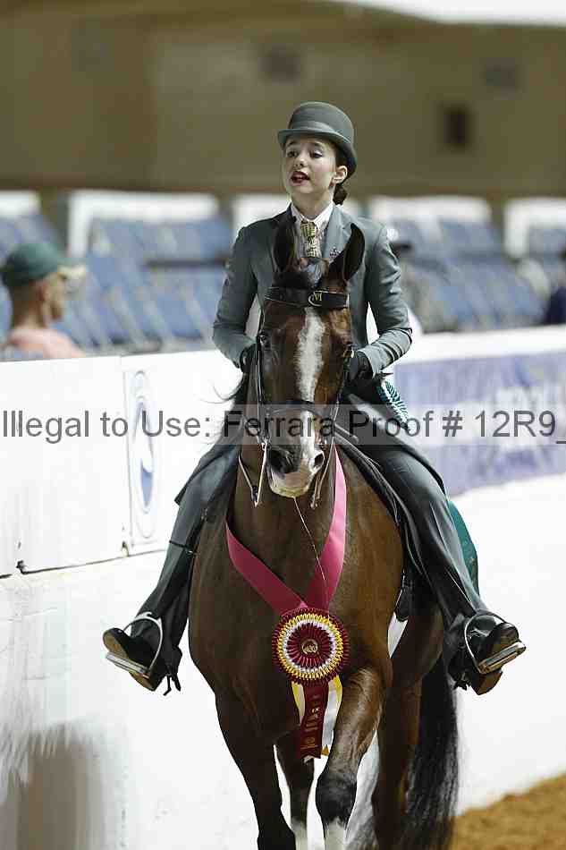 Proof 12r9_0963