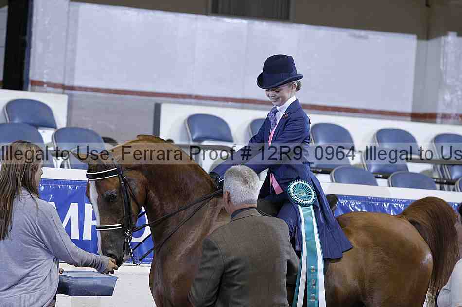 Proof 12r9_0964