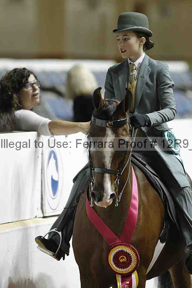 Proof 12r9_0965