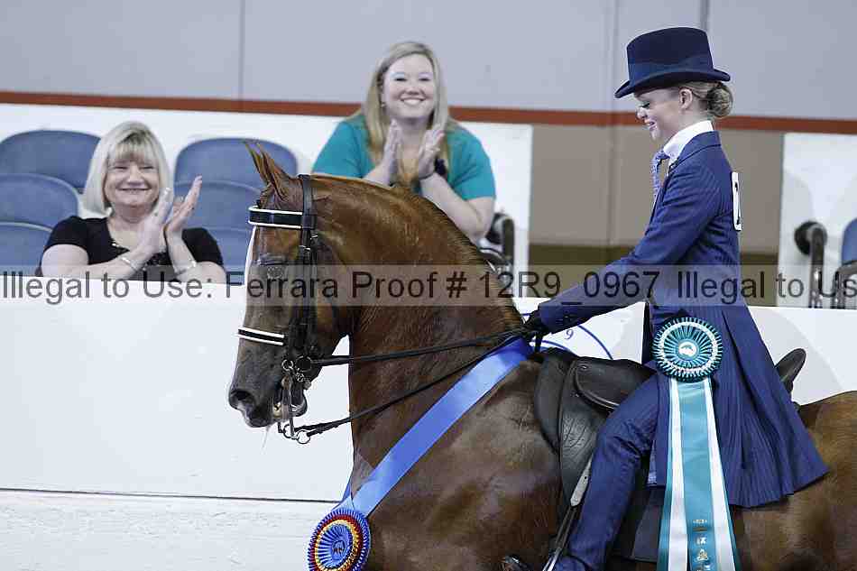 Proof 12r9_0967