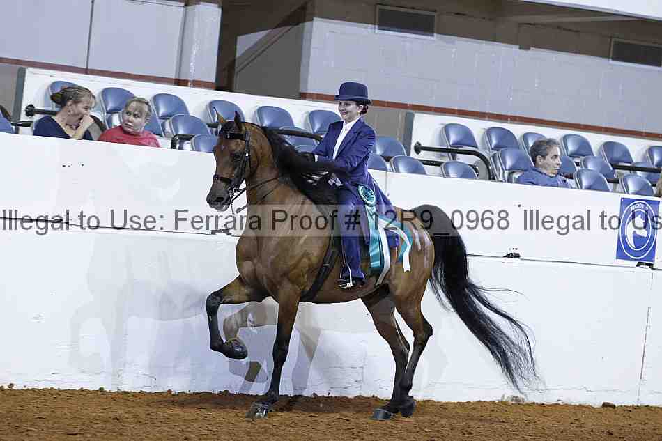 Proof 12r9_0968
