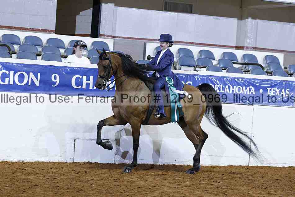 Proof 12r9_0969