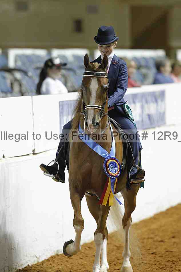 Proof 12r9_0970