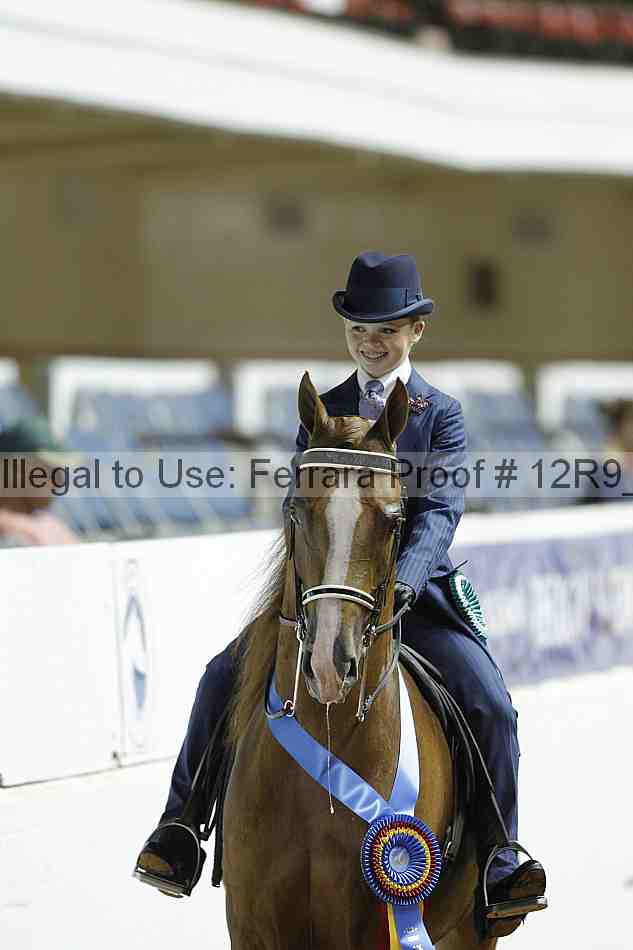 Proof 12r9_0971