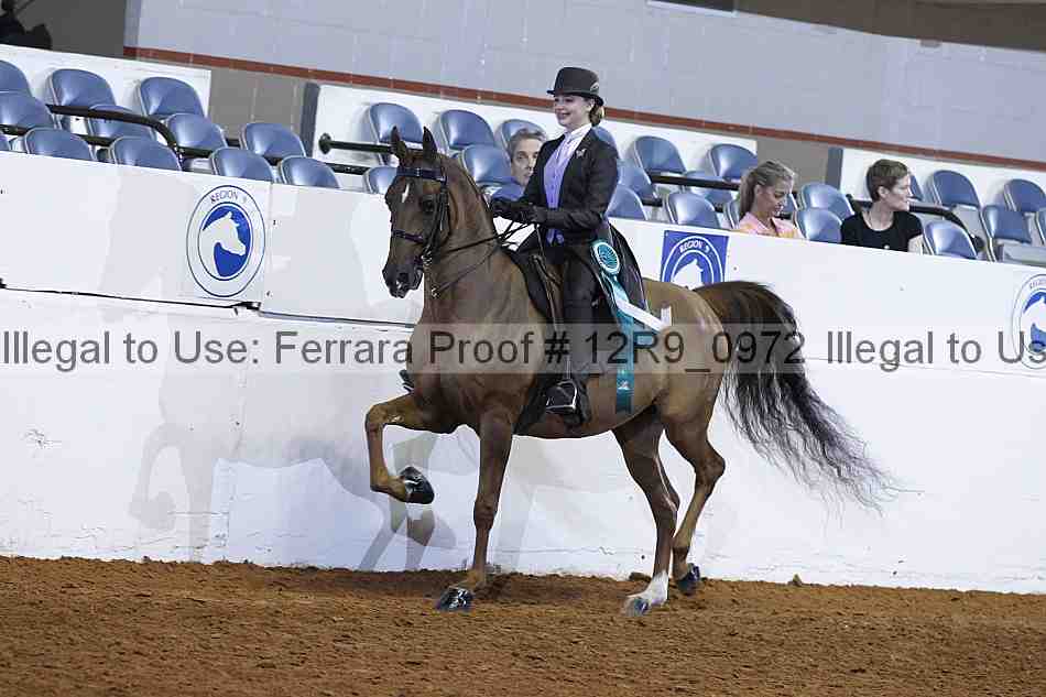 Proof 12r9_0972