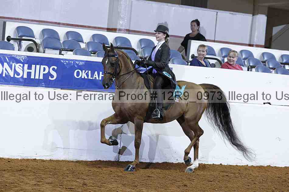 Proof 12r9_0973