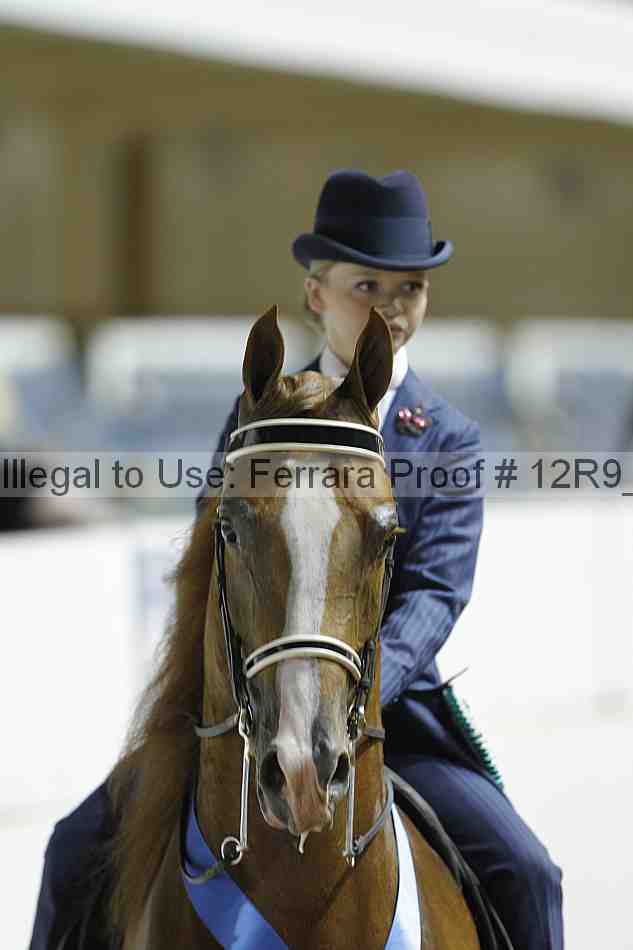Proof 12r9_0974
