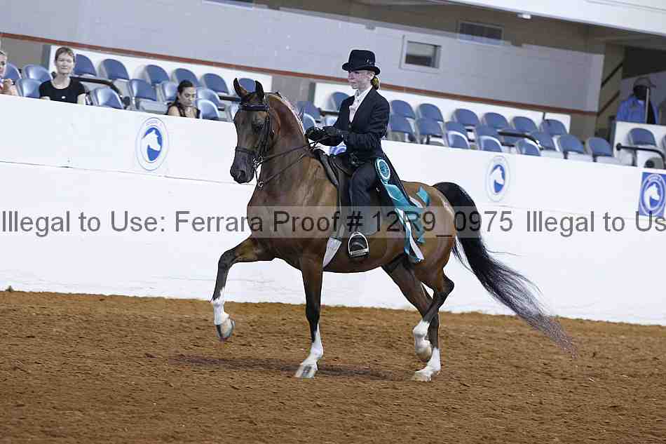 Proof 12r9_0975