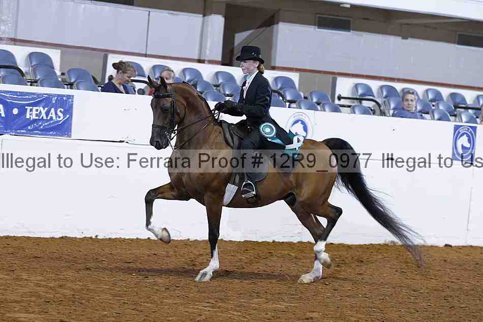 Proof 12r9_0977