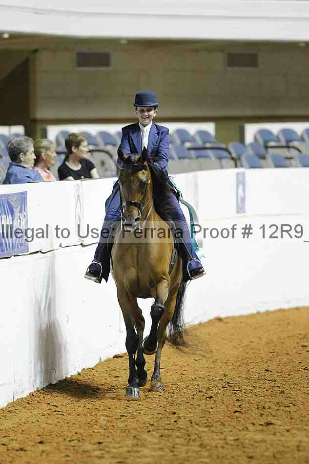 Proof 12r9_0978